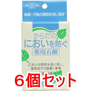 【エントリーでポイント5倍】 からだのにおいを防ぐ薬用石鹸 110g×6個セット