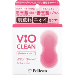 fP[g\[v VIO CLEAN i`n[u̍ 105g