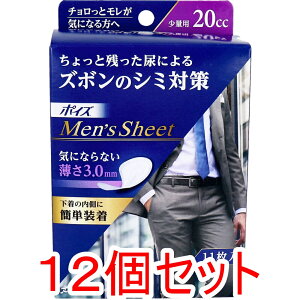 |CY YV[g ʗp 20cc 11×12Zbg