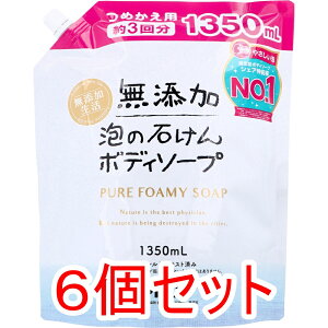 yGg[Ń|Cg5{z Y A̐΂{fB\[v e l֗p 1350mL×6Zbg P[X̔