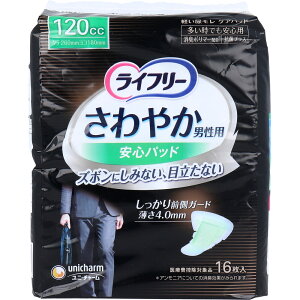 Ct[ ₩^pbh jp 120cc łSp 16