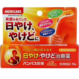 【エントリーでポイント5倍】 【第2類医薬品】 パンパス軟膏 15g