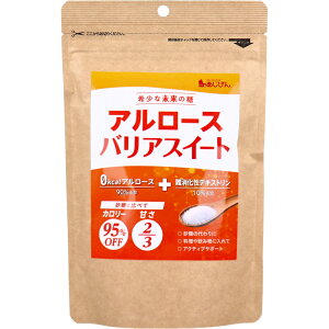 A[XoAXC[g 󏭓 120g