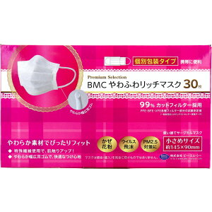 yGg[Ń|Cg5{z BMC ӂ탊b`}XN ߃TCY 30