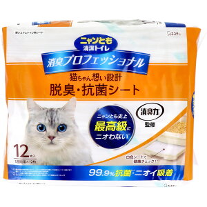 jƂgC LvtFbVi ELERۃV[g 12