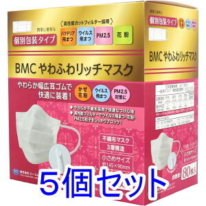 BMC ӂ탊b`}XN 1g^Cv ʕ^Cv ߃TCY 80×5Zbg
