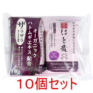 Rh΂ ͂Ɣ 100g×2pbN×10Zbg