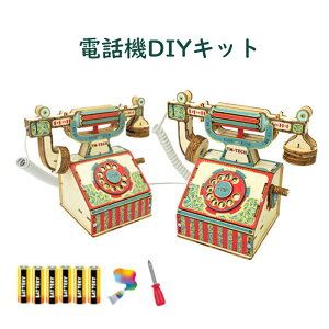 HLbg db@   DIY db q w R ċx ~x dC  STEM    Ȋw mߋ wZ v[g 