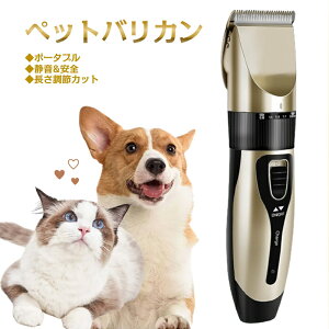 d oJ U Jbg q l wAJb^[ R[hX 120ғ É Ȃ SS  􂦂 USB[d ȒP  ZtJbg ƒp