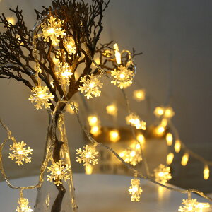 ̌ ledC~l[VCg tFA[Cg  RZg dr 10m LED NX}Xc[ Jt O  a LO p[eB[ B