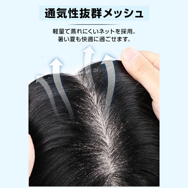 楽天市場】ウィッグ メンズ 男性 ヘアピース 人毛100％ 頭頂部 部分 
