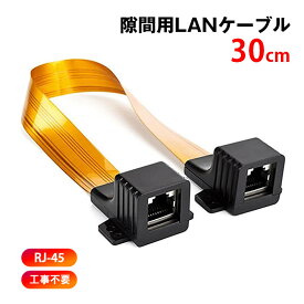 隙間用 LANケーブル 30cm 中継 延長 フラットケーブル RJ45 配線 工事不要 CAT5対応 100BASE-TX 高速伝送 100Mbps 屋内 屋外 家 オフィス 壁 扉 窓サッシ 速達発送