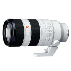 SONY \j[ Y E}EgpY FE 70-200mm F2.8 GM OSS II SEL70200GM2ybsOΉz R-LOGI