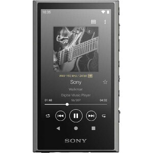 SONY \j[ nC] I[fBI vC[ A300 EH[N} NW-A307 HC[O[]ybsOΉz R-LOGI