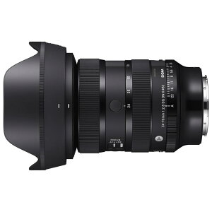 �V�O�} 24-70mm F2.8 DG DN II [���C�JL�p] L�}�E���g �t���T�C�Y�Ή�[���b�s���O��] R-LOGI