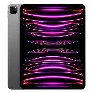y󂠂ziPad Pro 6 WiFi 512GB MNXU3J/A D[bsO]