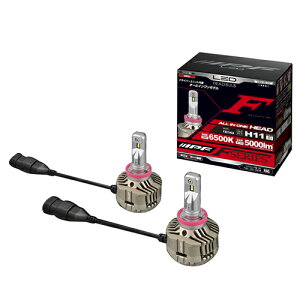 IPF F301HLB �ԍڗpLED���C�g [��6500K H11][���b�s���O��]