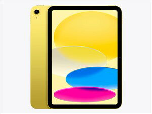 Apple iPad 11�C���` Wi-Fi 256GB 2025�N�t���f�� [�C�G���[][���b�s���O��]