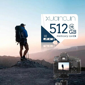 y撅100IN[|ő500~OFF!zMicroSD [J[h }CNSDJ[h e512GB UHS-I U3 A1 Class10 microSDXC őǍx100M 512MK hR X}z 