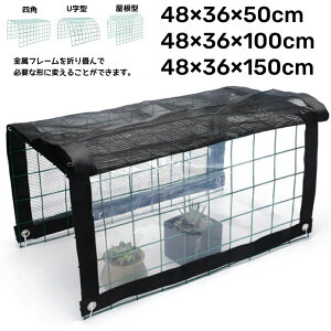 y4700~~4371~~COUPON+P2{gp 11/16 1:59zrj[nEX ~j  K[f nEXJo[ OAI  Jo[ ATVF[h Ă~ Ռlbg J ~j @