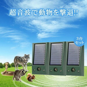 y撅100IN[|ő500~OFF!zL g \[[ h ˂悯 L悯 悯 L 3Zbg   ފ ObY Q  Ƃ悯 A ̂ m  ˂ lR ŋ