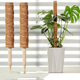 【新発売限定記念価格！】ココスティック モンステラ 支柱 おしゃれ 植物 支柱 ポトス 支柱 高さ調整可能 頑丈 耐久 ココナッツ 園芸支柱 ポトス 植物支柱 花ささえ 連結 延長 木製 ココナッツ支柱 支え ガーデニング用支柱 観葉支柱 植物サポート