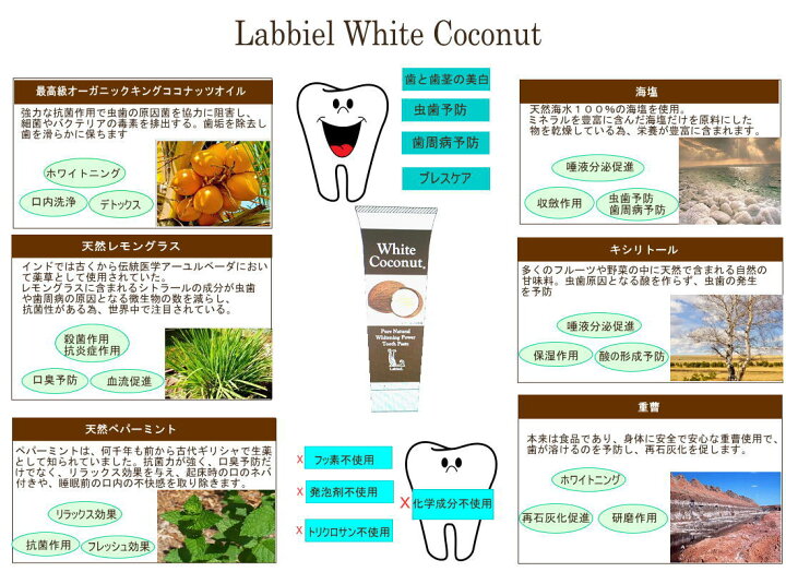 White Coconut ラビエルデンタルクリーム 歯磨き粉 ホワイトニング 虫歯予防に 天然オーガニック歯磨き : SOL SELECT White Coconut ラビエルデンタルクリーム 歯磨き粉 ホワイトニング 虫歯予防に 天然オーガニック歯磨き : SOL SELECT