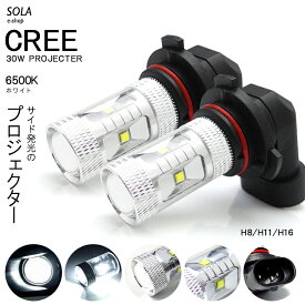 160系 前期/中期 カローラ アクシオ LED フォグランプ H16 30W CREE/クリー プロジェクター発光 ホワイト/6500K 2個入り 車検対応