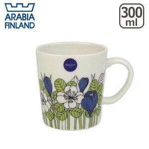 y|Cg5{ 11/15zArAiArabiaj NbJXiKrokusj}O 300ml 0.3L k tBh H wŃMtgÊ GF2 GF1