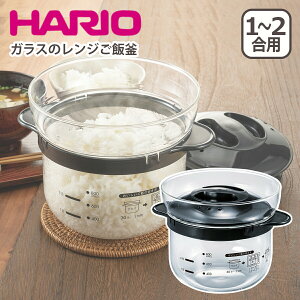 nI KX̃Wъ1-2 XRCN-2-B dqWъ W HARIO MtgÊ kCE͕ʓr990~Z