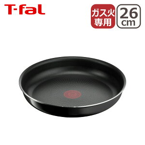 eBt@[ CWjIElI n[h`^jEECeX tCp26cm L43805 T-fal KX KXΐp  PiFt^Ǝ͕t܂