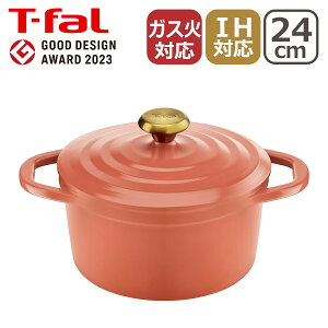|Cg2{IeBt@[ LXgC GARRbg eRb^ IHRRbgix 24cm E26846 T-fal MtgÊ