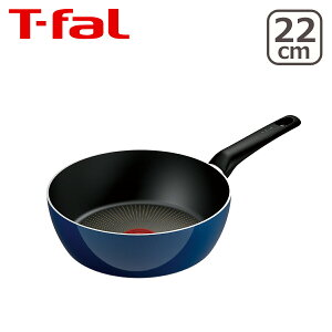 yN[|4킠zeBt@[ Cu[ECeX fB[vp 22cm D53383 KX KXΐp  T-fal t