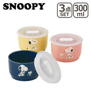 |Cg10{IXk[s[ SN840 more gIWZbg RX MtgÊ