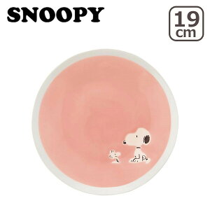 �y�N�[�|��4�킠��z�|�C���g10�{�I�X�k�[�s�[ SN840 more 19cm �v���[�g �R�����X