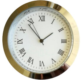【即納】 クリアリウム ウォッチC 大 1個 ローマ数字 シルバー 固まる ハーバリウム インテリア 置物 オリジナル 時計 ハンドメイド オリジナル おうち時間