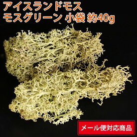 【メール便 対応】 大地農園 アイスランドモス 小袋 61071-760 モスグリーン 40g 4988489047791 ノルウェー プリザーブドフラワー 花材 ブリザードフラワー プリザーブドグリーン アレンジ資材 クリスマスリース