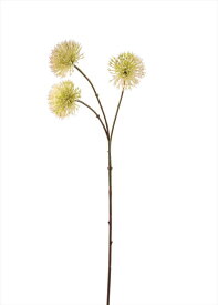 ビバ工芸 ワイルドアリウム VE-4128-CR 4951614412801 造花 アーティフィシャルフラワー 花材