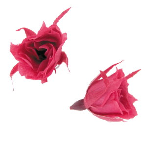 【即納】マイクロローズ ホットピンク 箱 20輪入り プリザーブドフラワー 花材 極小バラ ミニバラ フロールエバー