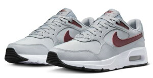 ySALEzyNIKEzCW4555-016 iCL GA}bNX SC O[/{h[ jOV[Y Y DF 