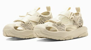 ySALEzyCONVERSEzMSD CP 2 WHITE/ZEBRA Ro[X LsO T_ zCg/[u Y fB[X p AEghA F