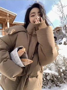 fB[X WPbg _E AE^[ _EWPbg V[g   l   ~ ؍ g h e