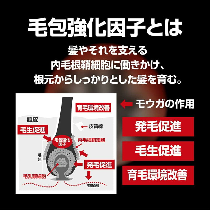 楽天市場】モウガ 育毛剤 漲(ミナギ)120mL 男性向け 【2箱セット 