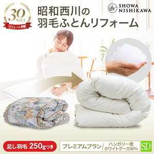 y25%OFFN[| 10/20za Hѕzc łitH[jy{|z Z~_u v~Av nK[O[X90yr[Ly[Ώہz Hѕzc N[j