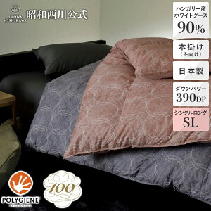 [100NH] Hі{|ӂƂi~pj I[o nK[YzCgO[X_E90 VOO