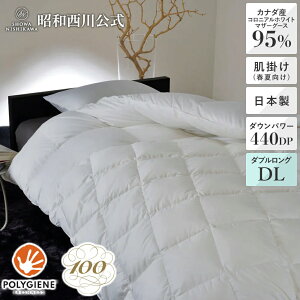 [100NH] Hє|ӂƂitėpj \bh 120Te Ji_YRjAzCg}U[O[X_E95 _uO