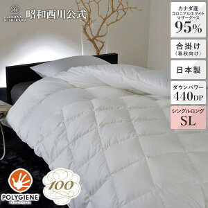 [100NH] Hэ|ӂƂitHpj \bh 120Te Ji_YRjAzCg}U[O[X_E95 VOO