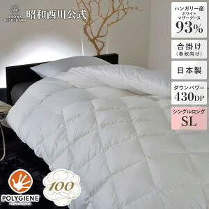 [100NH] Hэ|ӂƂitHpj \bh 100Te nK[YzCg}U[O[X_E93 VOO