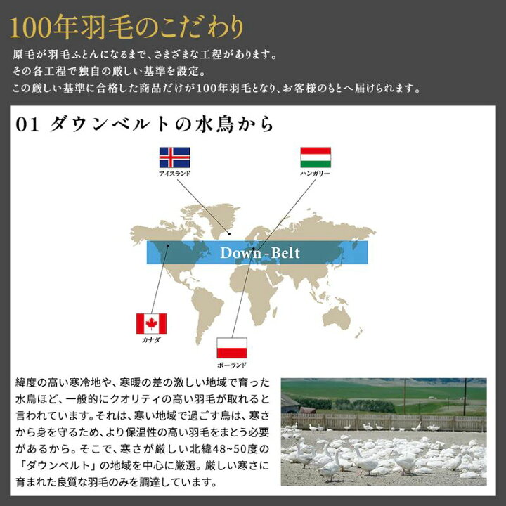 楽天市場】[100年羽毛] 羽毛本掛けふとん（冬用）トレリス ハンガリー 
