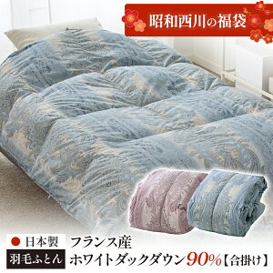 [a̕]Hэ|ӂƂ { tXYzCg_bN_E90 VOO Hѕzc  VO ~p  2026 FBPEC9020 SL